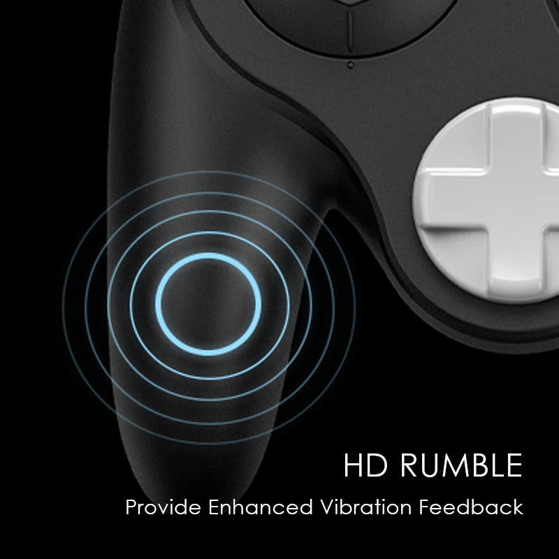 NYXI Warrior Bluetooth Game Controller Black Wireless Gamepad for Gamecube/WII/Switch2/Switch OLED/Switch Lite/PC